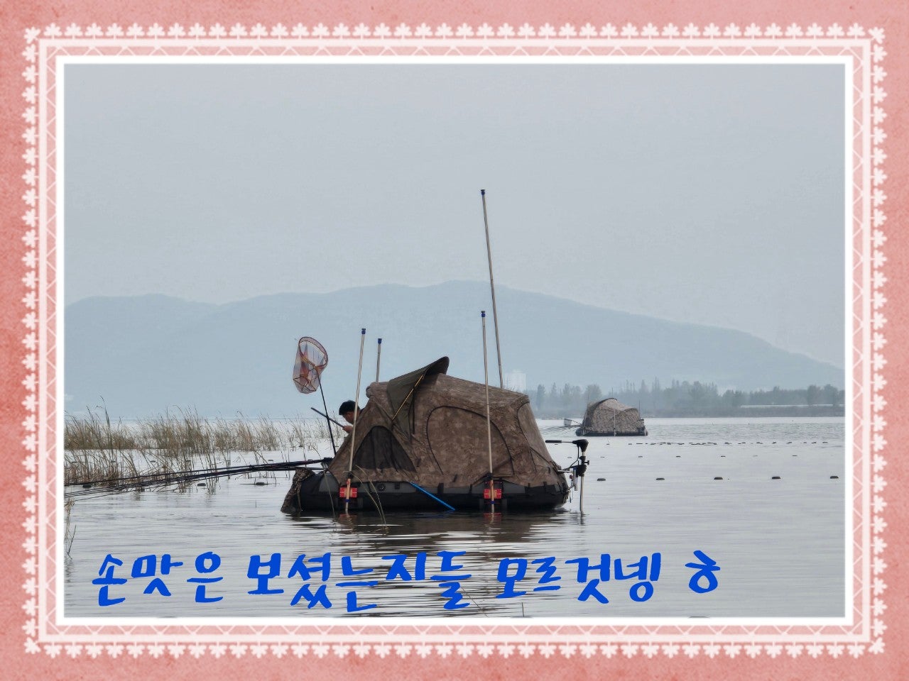 ����ڰ� �ø� �̹���