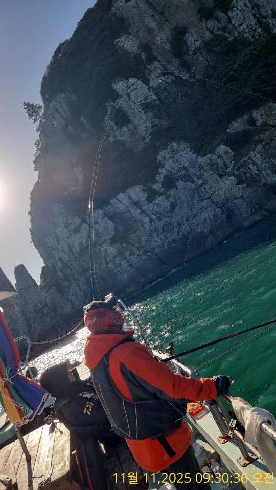 사용자가 올린 이미지