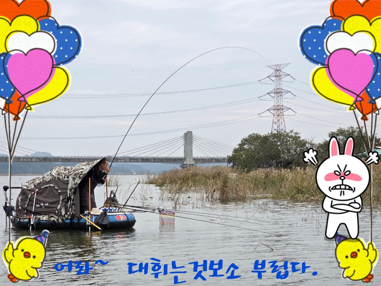 ����ڰ� �ø� �̹���