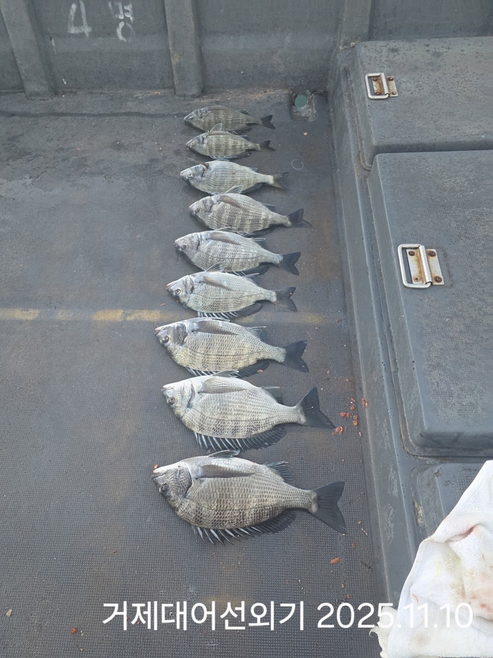 ����ڰ� �ø� �̹���