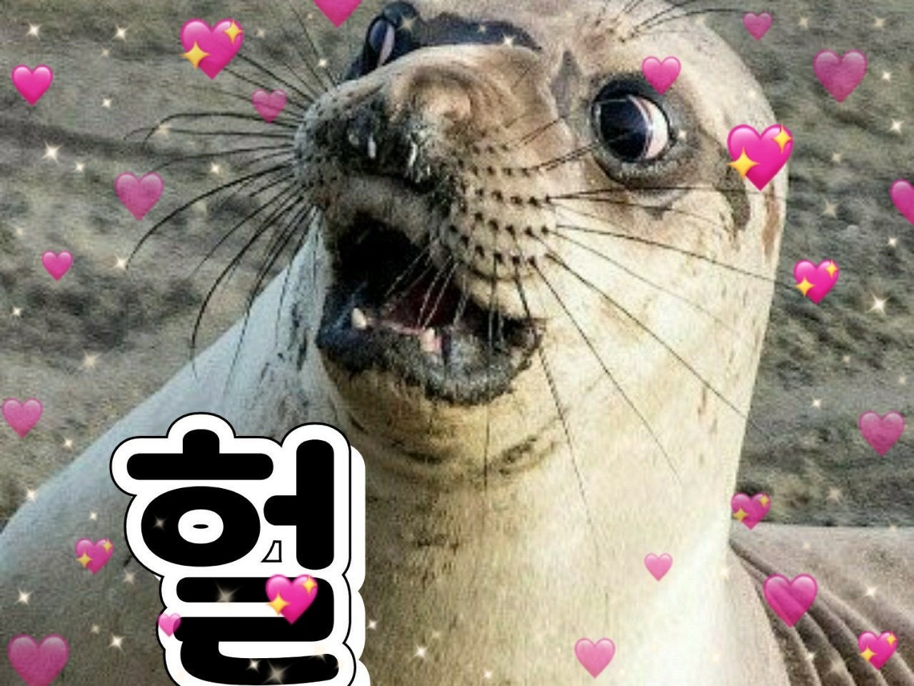 ����ڰ� �ø� �̹���