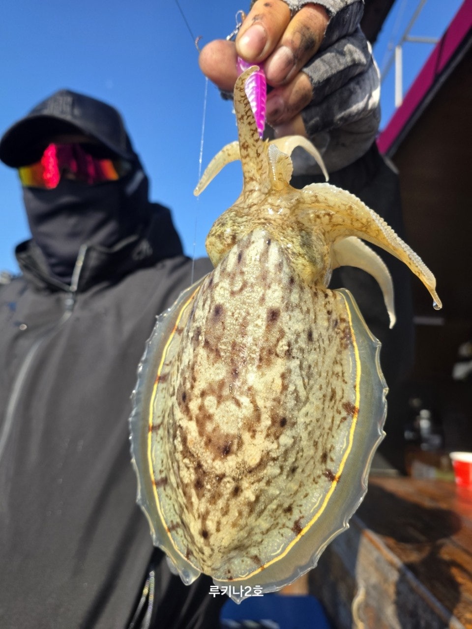 사용자가 올린 이미지