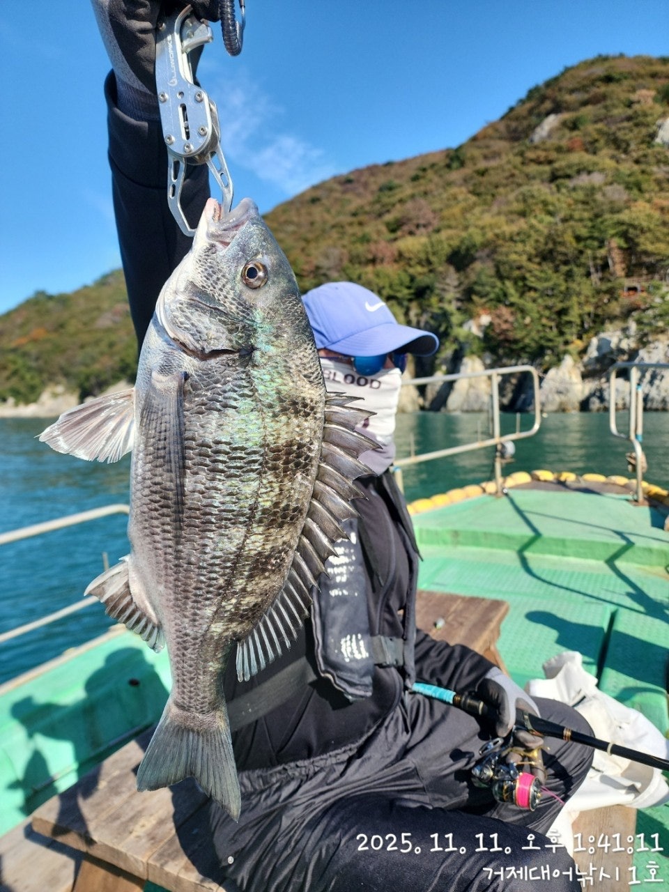 사용자가 올린 이미지