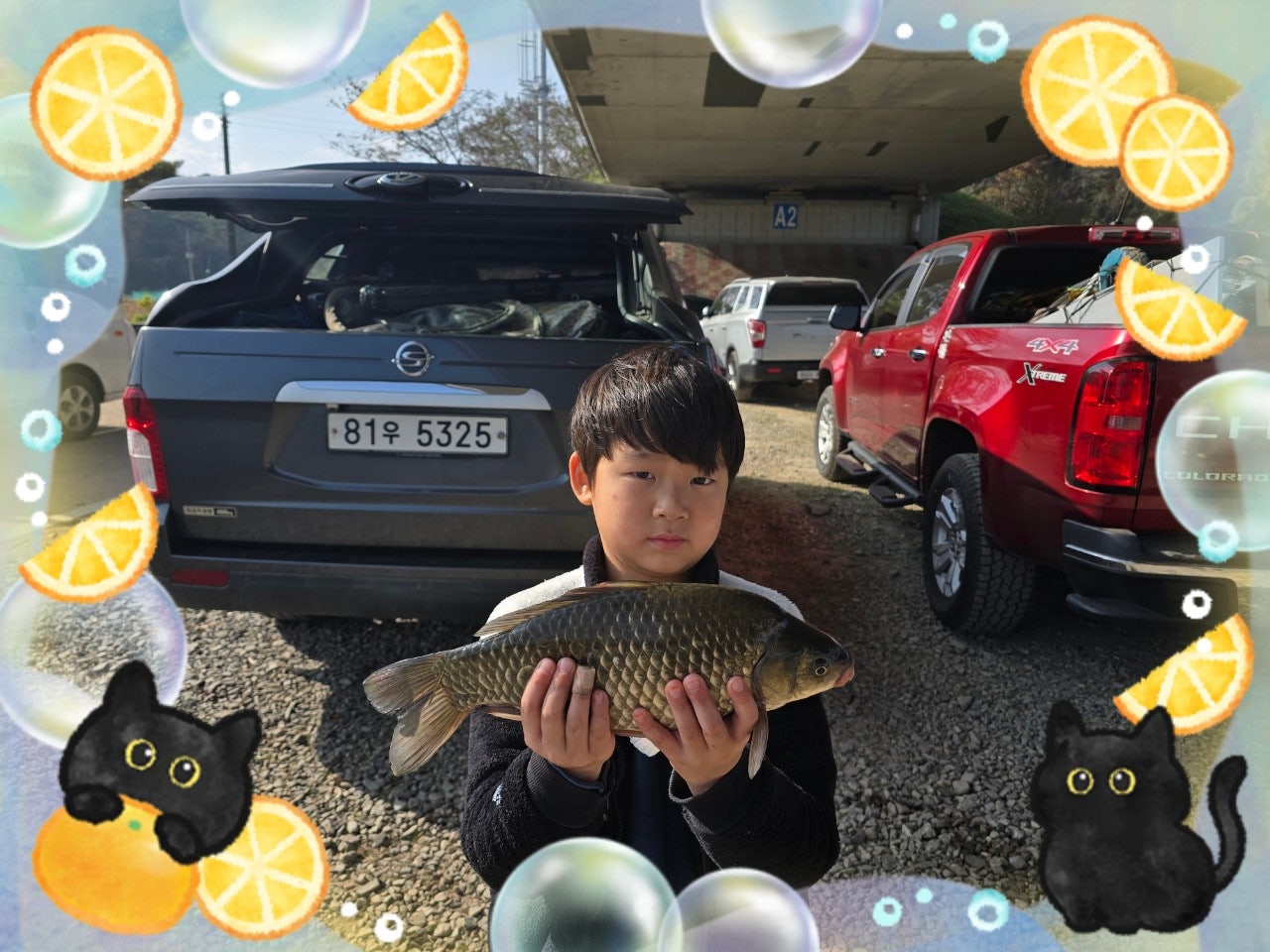 ����ڰ� �ø� �̹���