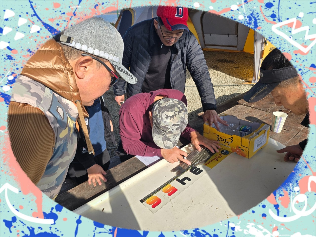 ����ڰ� �ø� �̹���