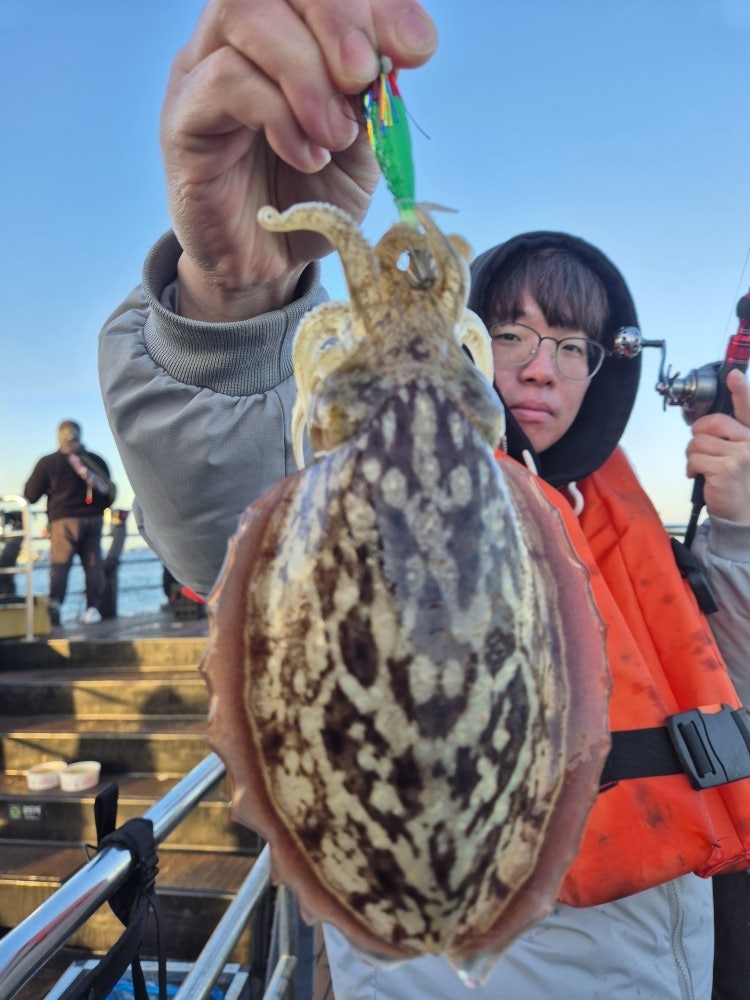 사용자가 올린 이미지