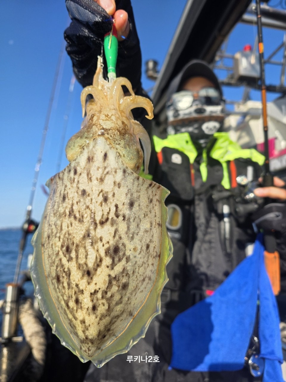 사용자가 올린 이미지