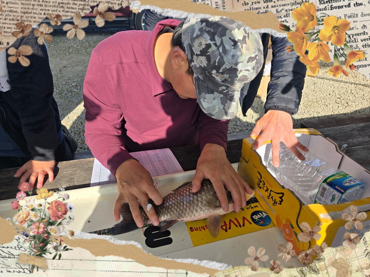 ����ڰ� �ø� �̹���