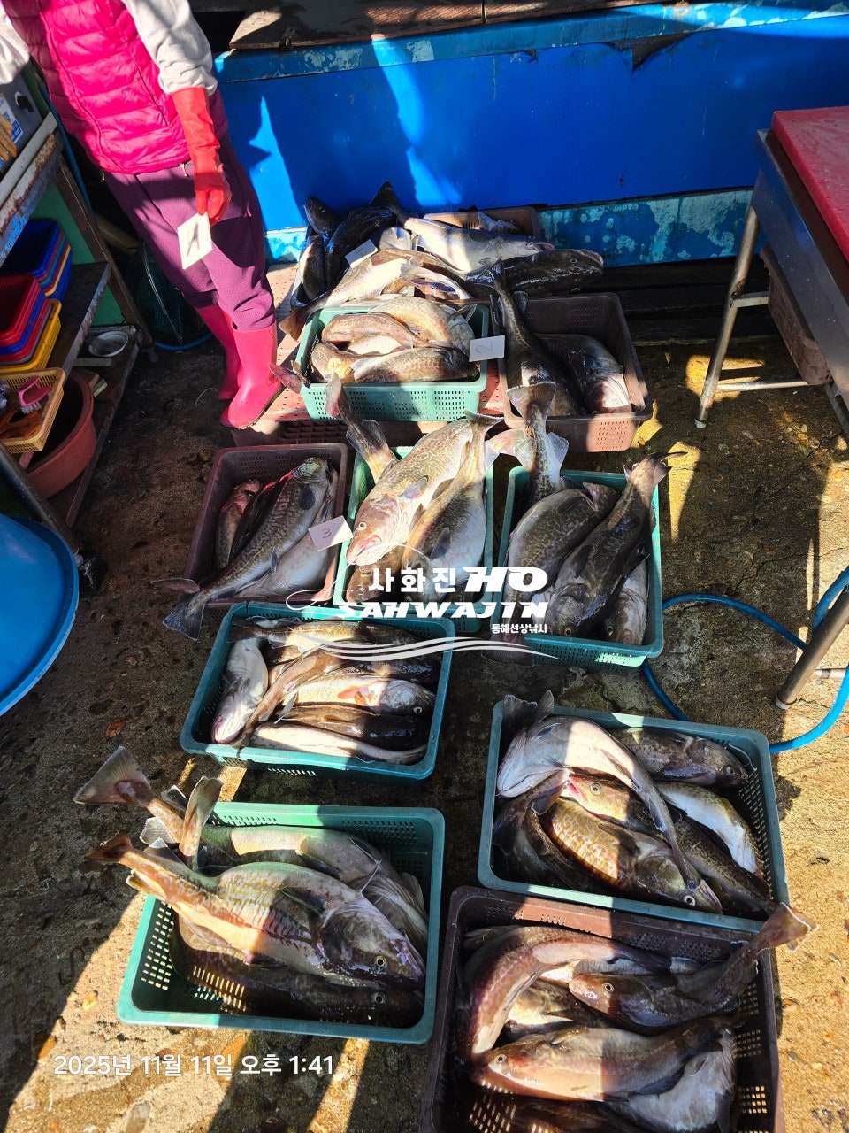 사용자가 올린 이미지