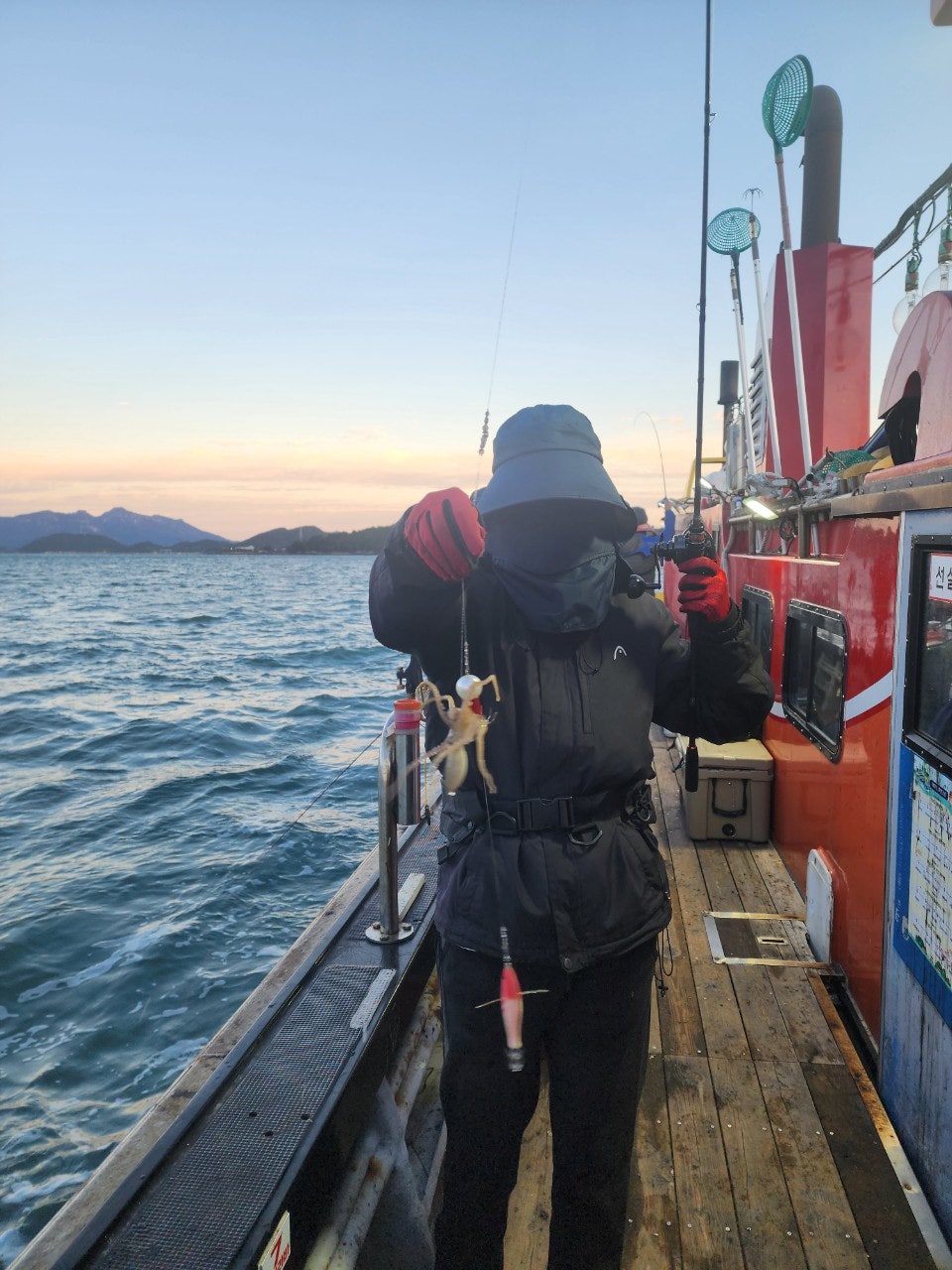 사용자가 올린 이미지