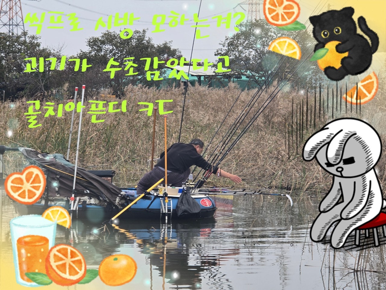 ����ڰ� �ø� �̹���