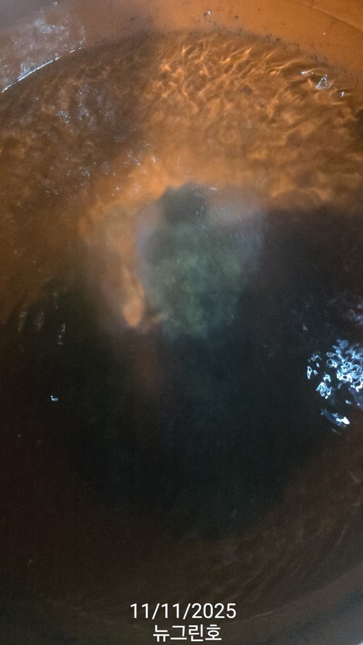 사용자가 올린 이미지