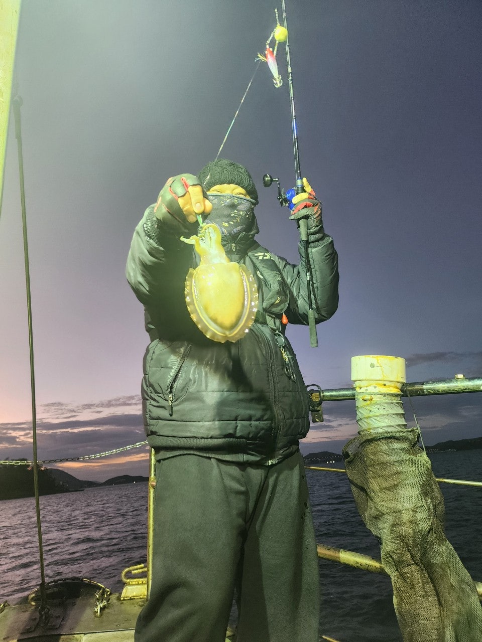 사용자가 올린 이미지