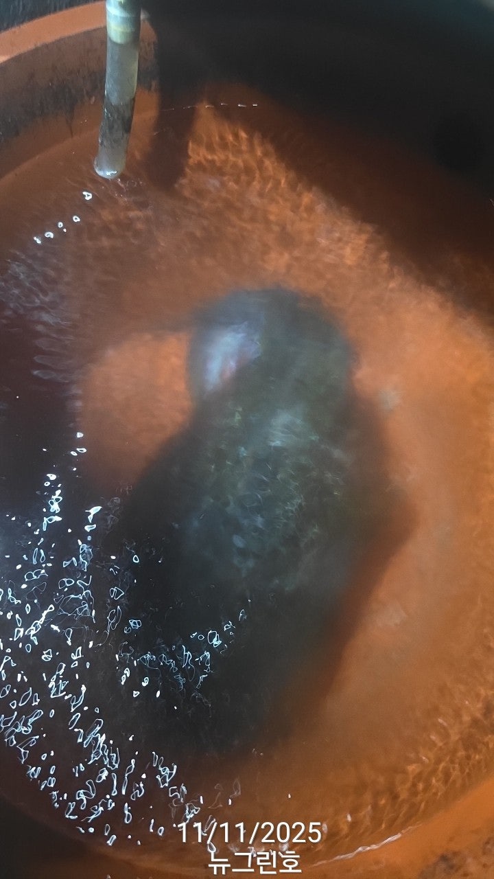 사용자가 올린 이미지