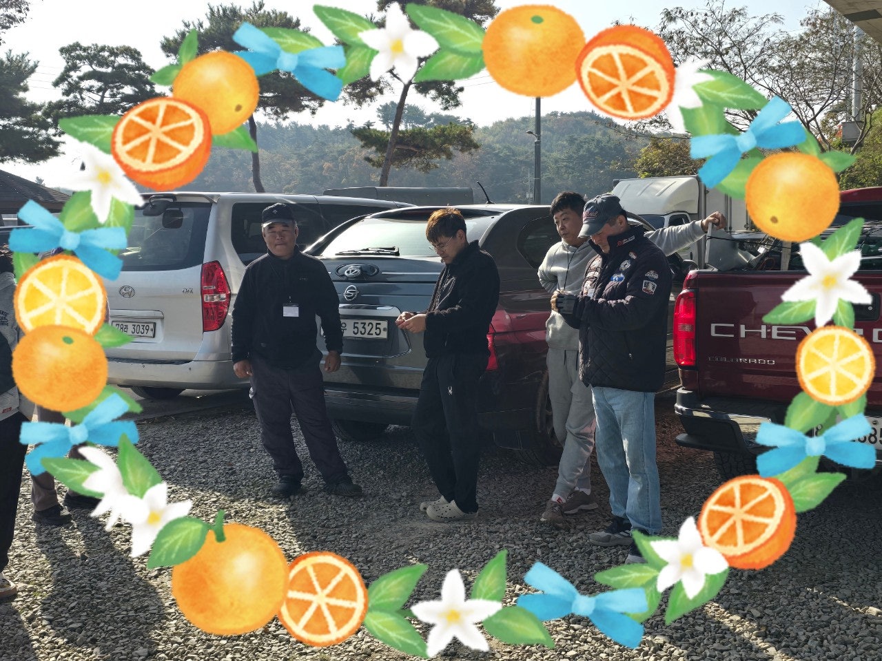 ����ڰ� �ø� �̹���