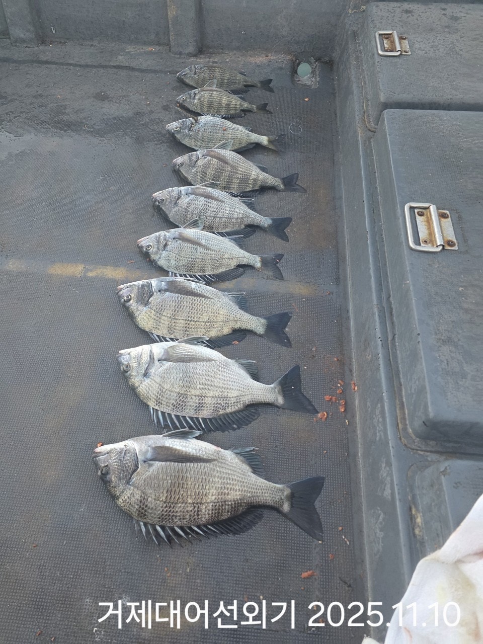 ����ڰ� �ø� �̹���