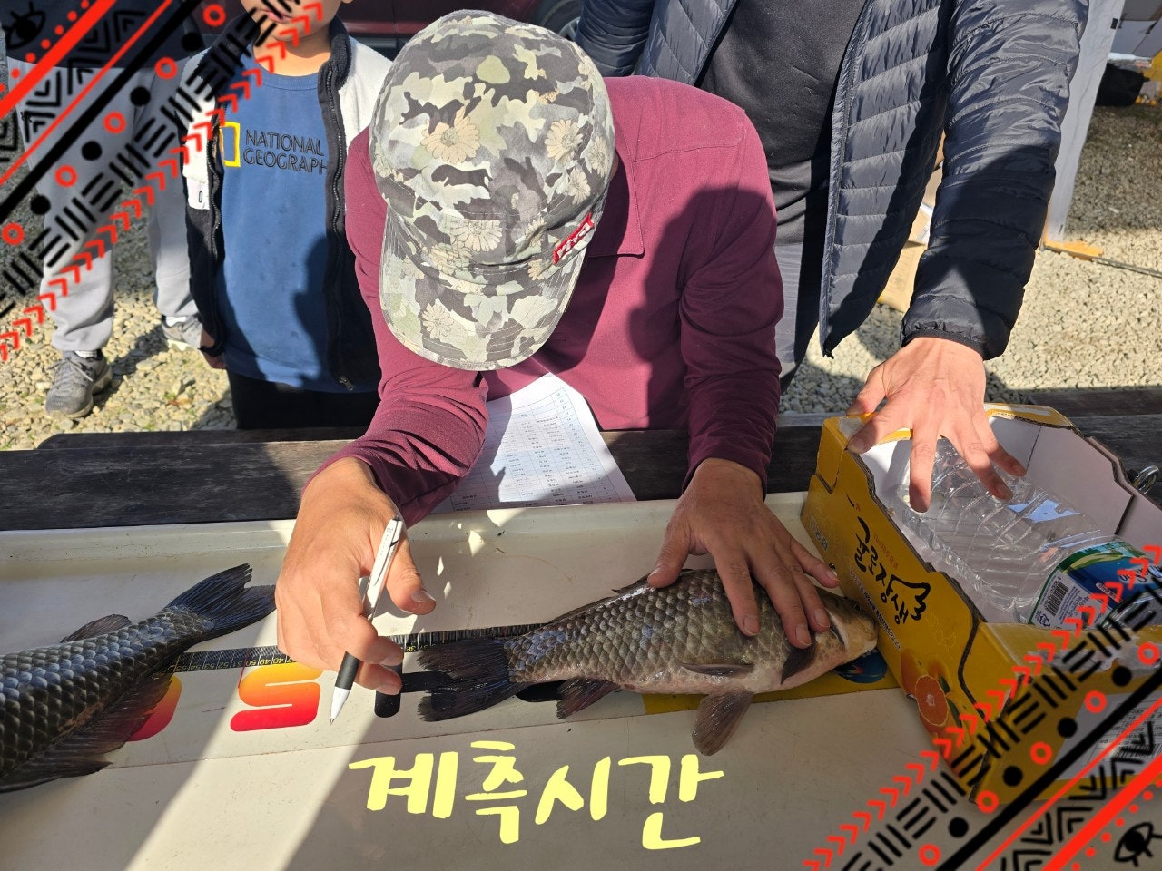 ����ڰ� �ø� �̹���