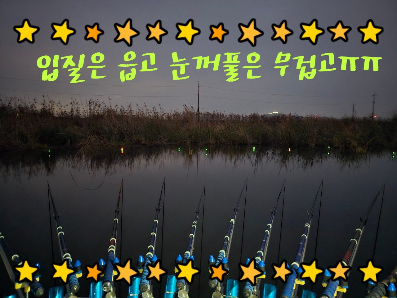 ����ڰ� �ø� �̹���