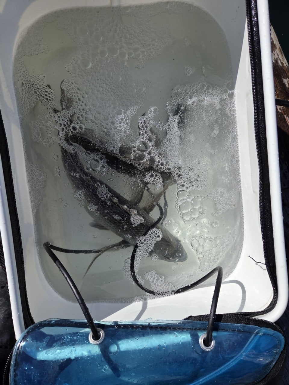 ����ڰ� �ø� �̹���