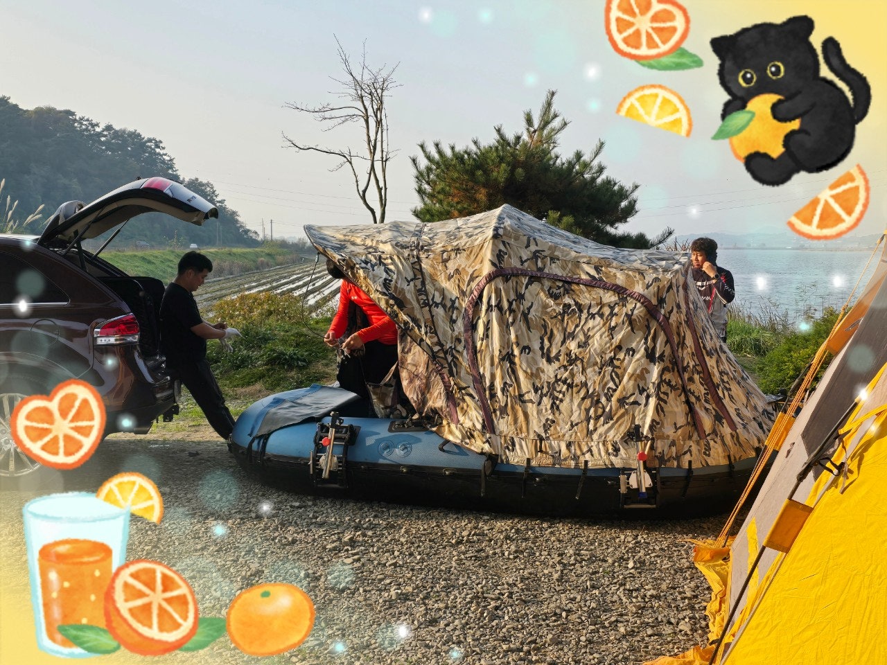 ����ڰ� �ø� �̹���