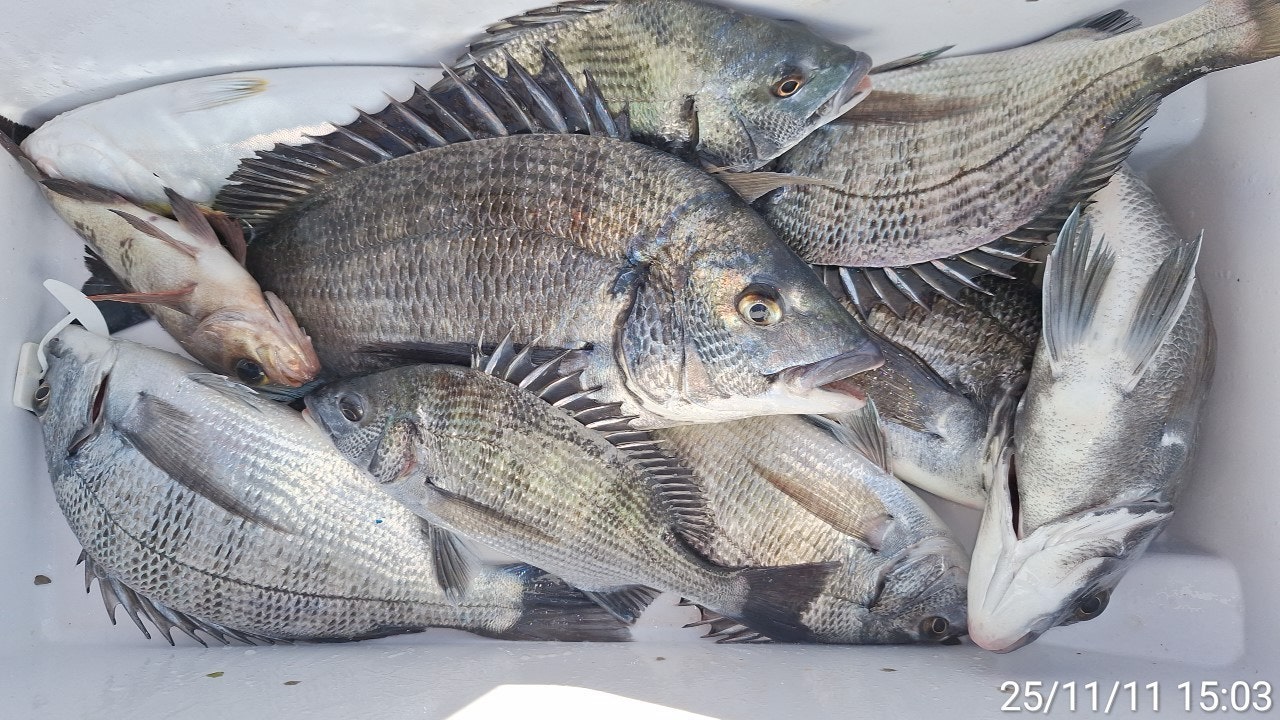 ����ڰ� �ø� �̹���