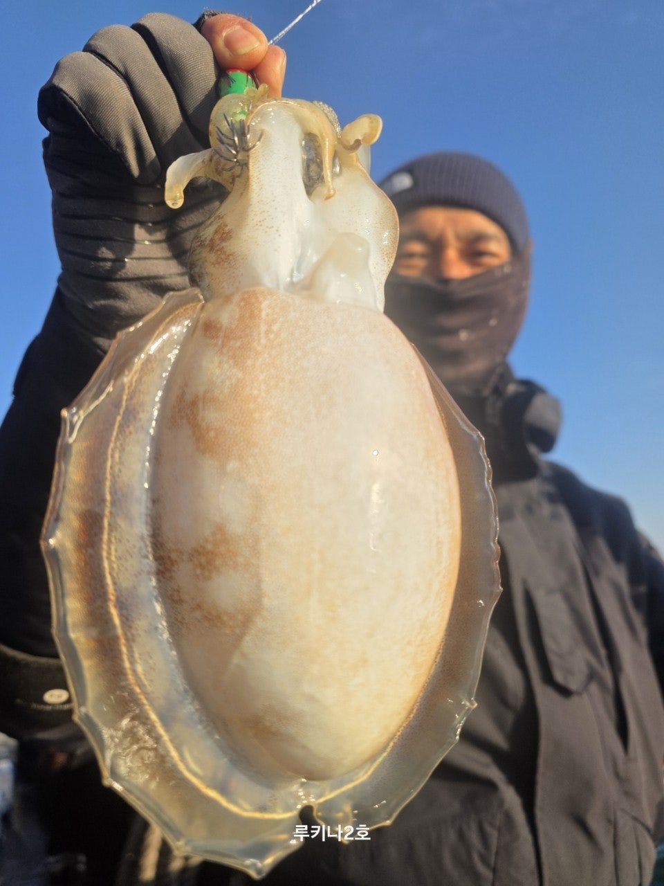 사용자가 올린 이미지