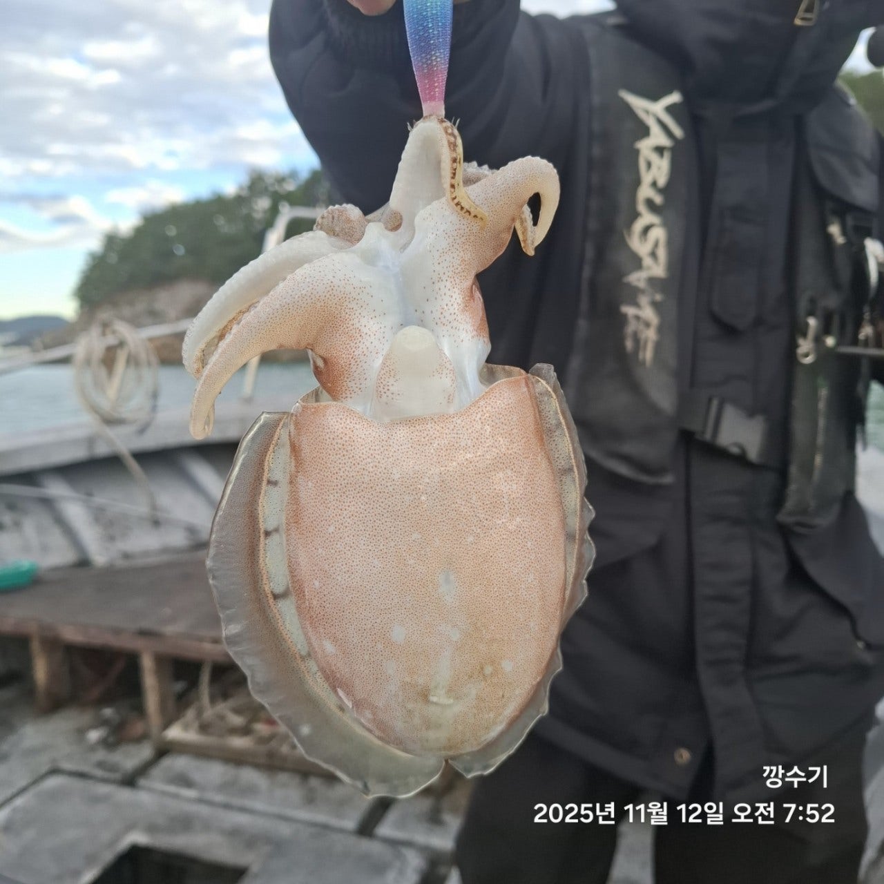 사용자가 올린 이미지