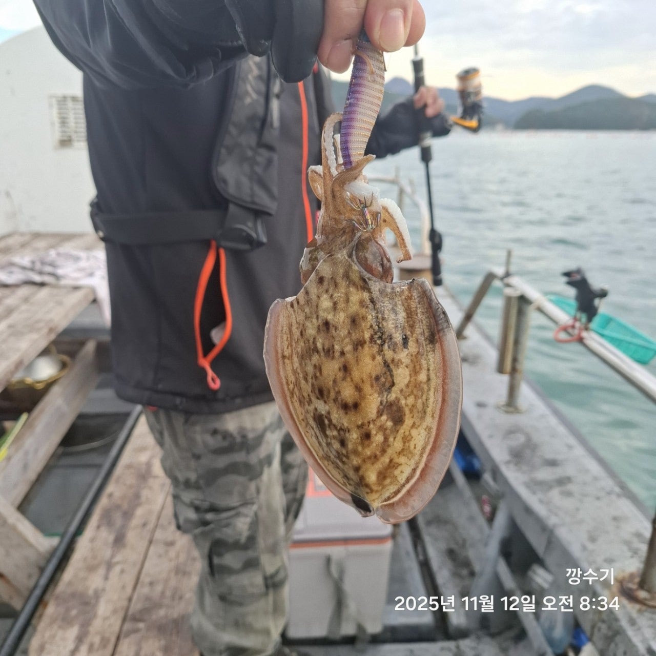 사용자가 올린 이미지