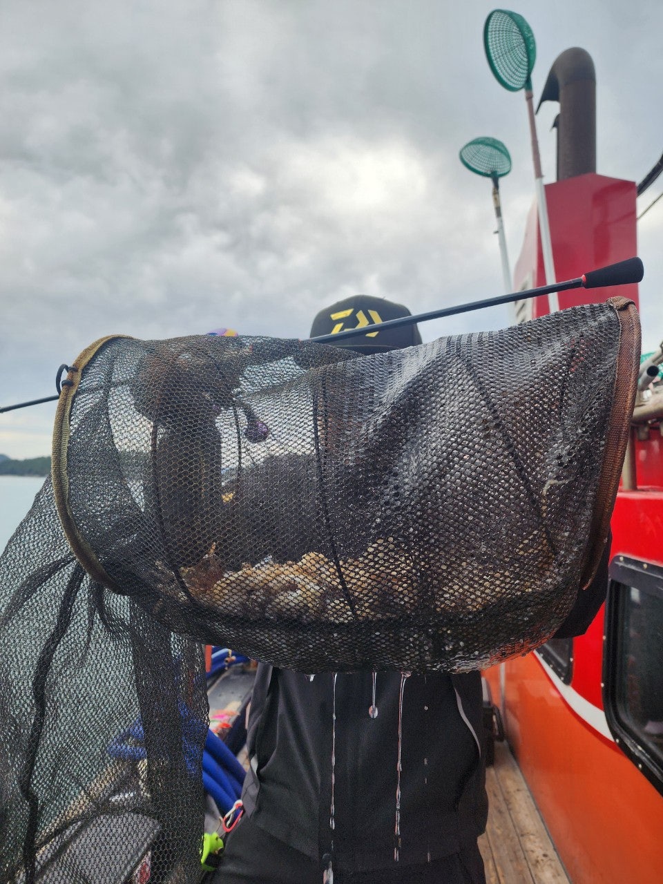 사용자가 올린 이미지