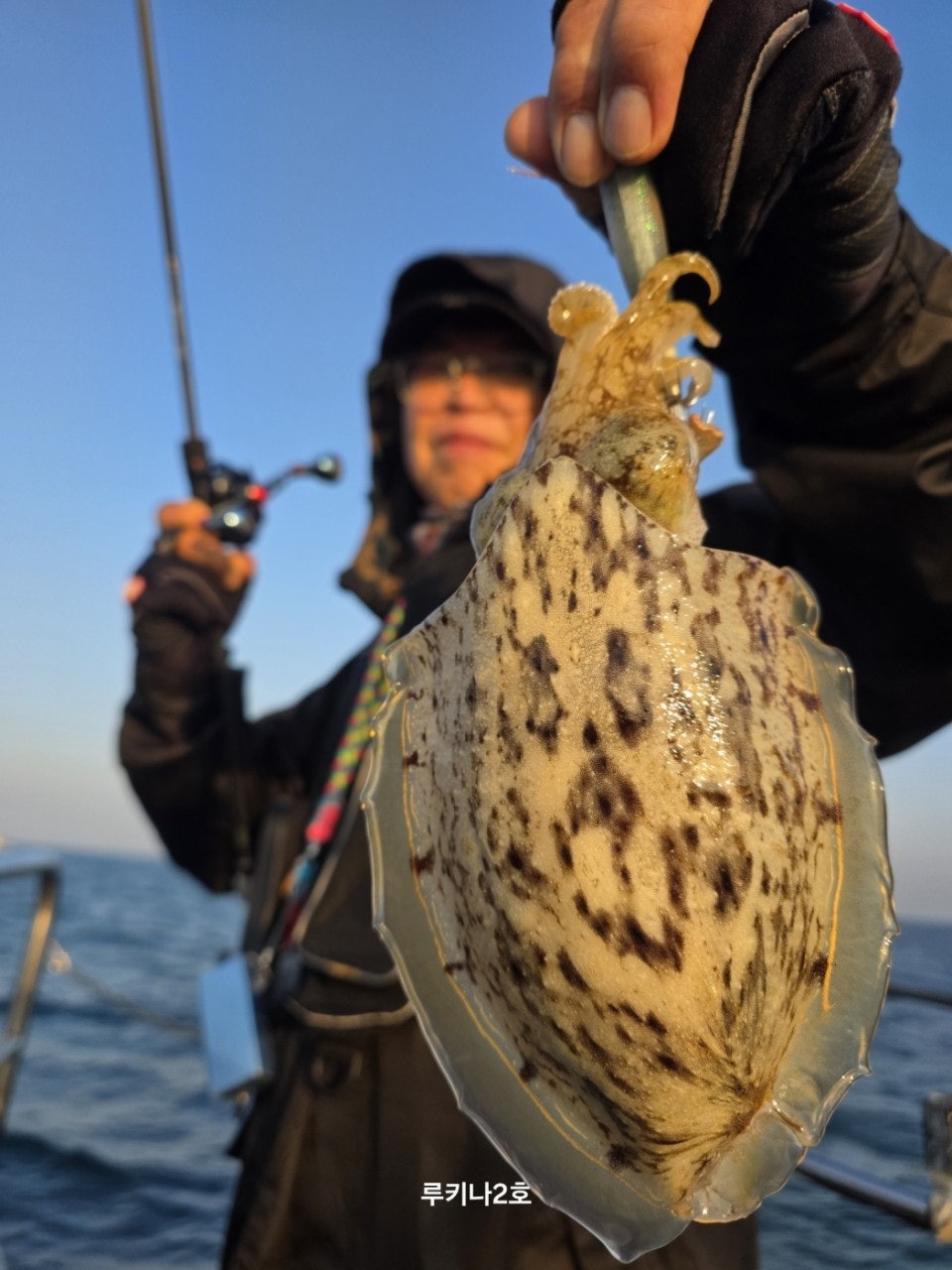 사용자가 올린 이미지