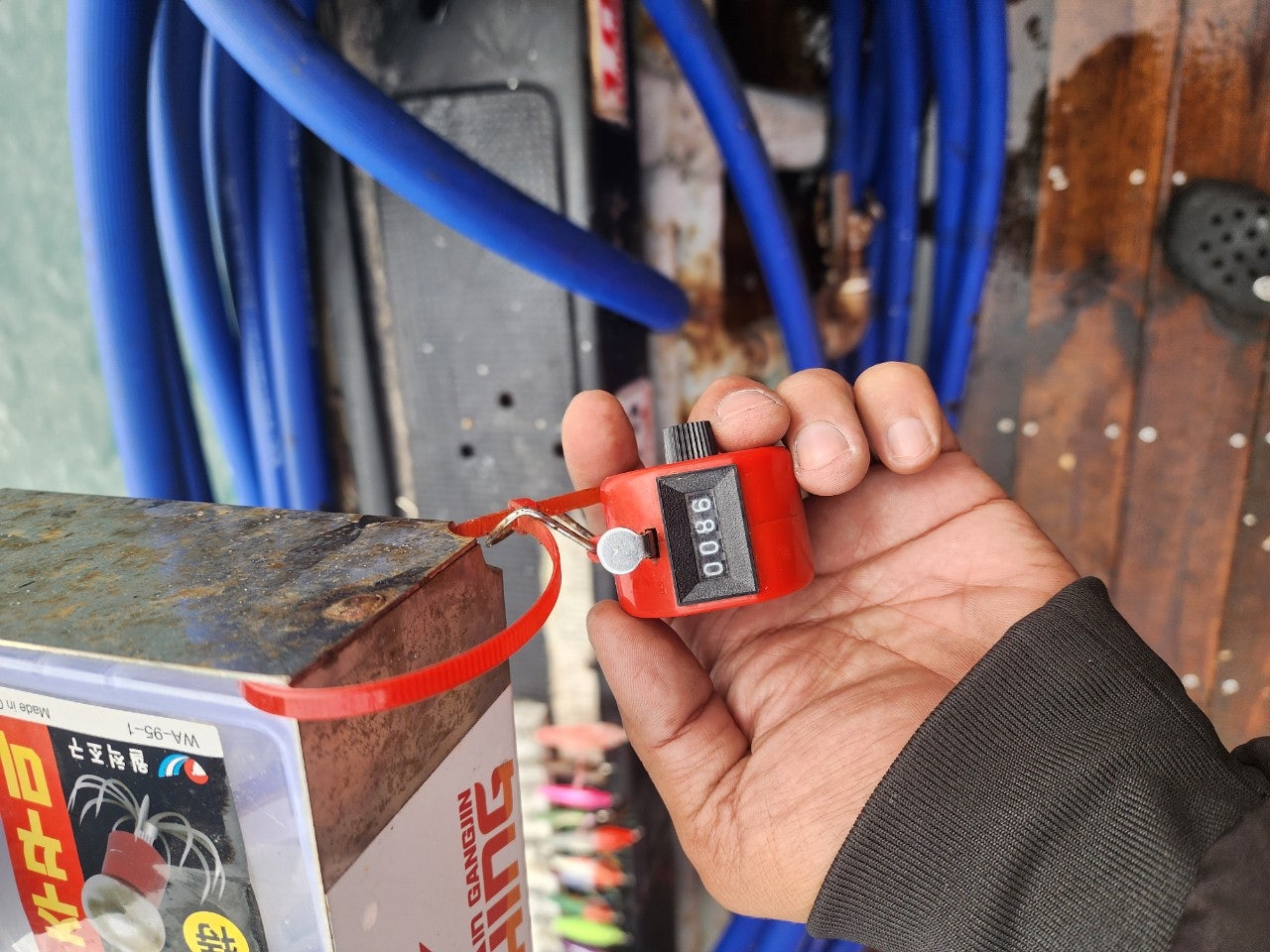 사용자가 올린 이미지