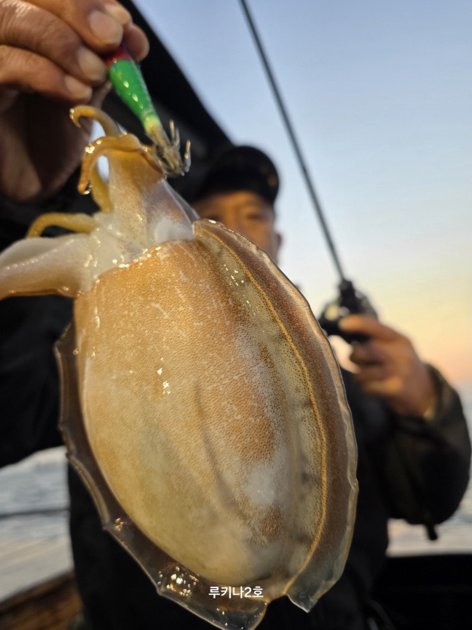 사용자가 올린 이미지