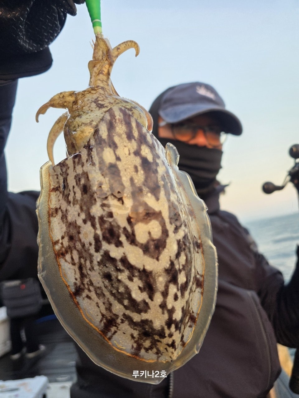 사용자가 올린 이미지