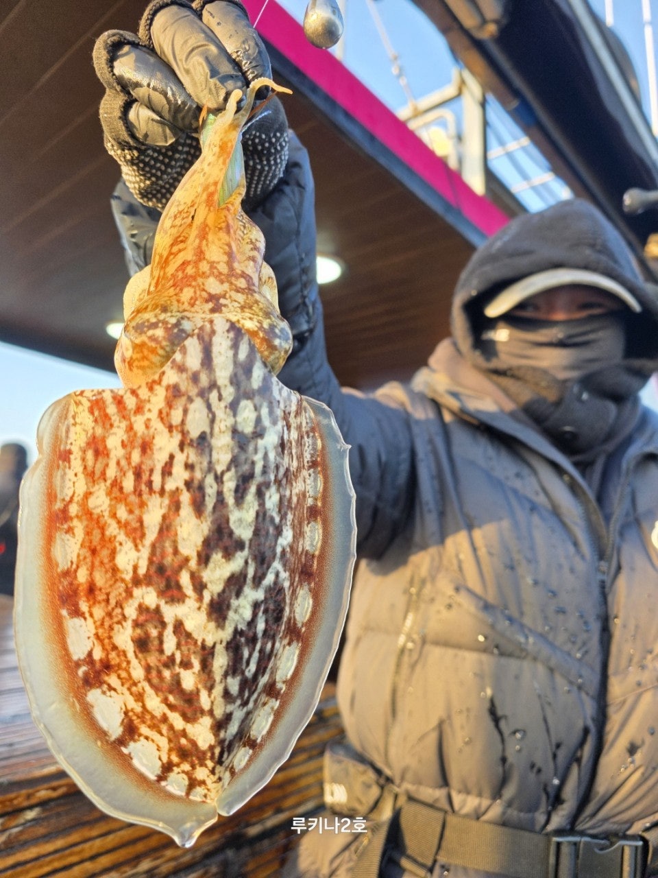 사용자가 올린 이미지