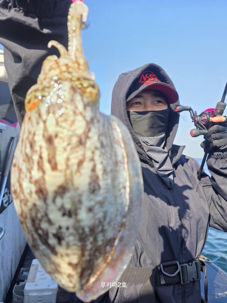 사용자가 올린 이미지