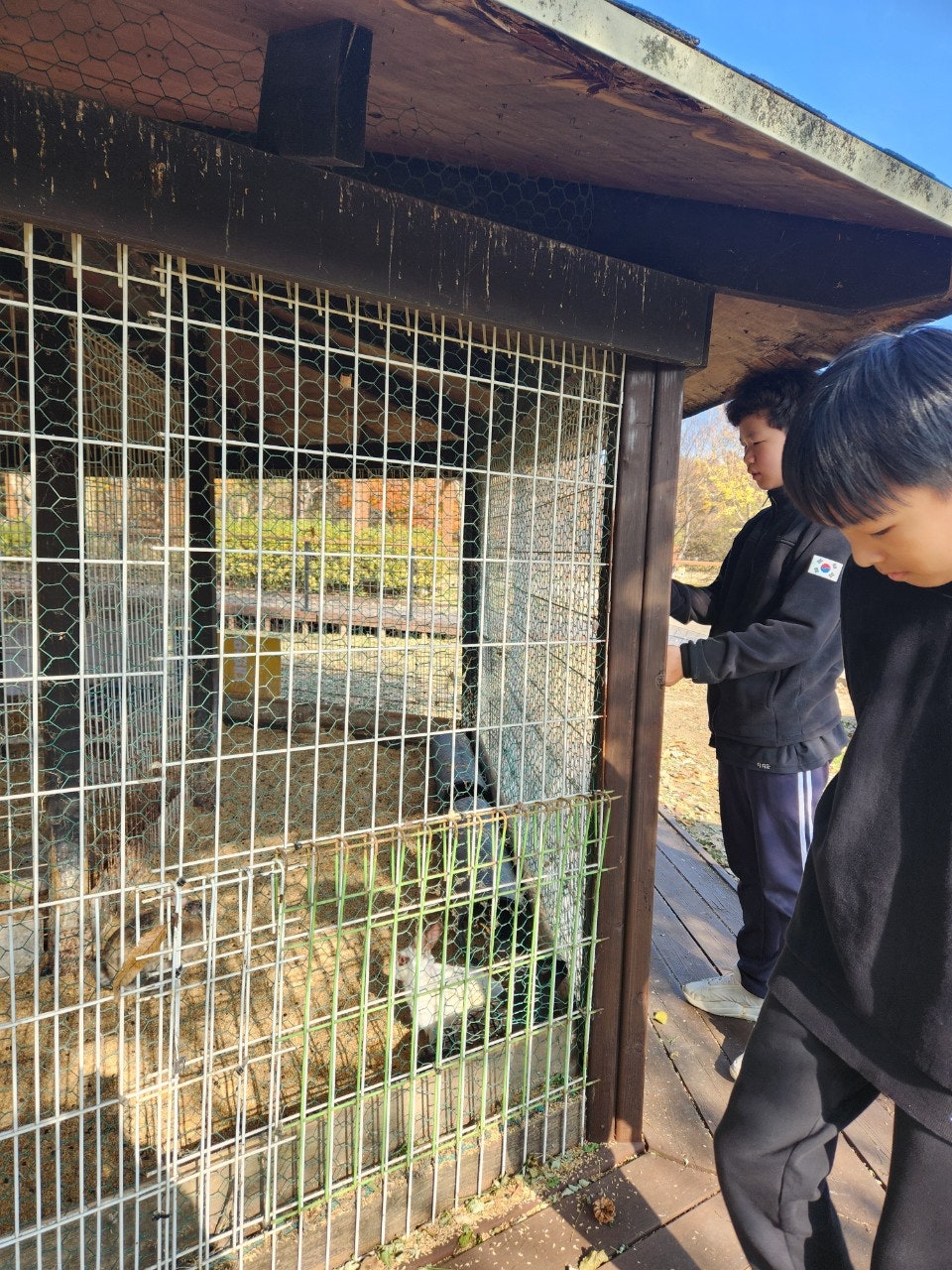 사용자가 올린 이미지