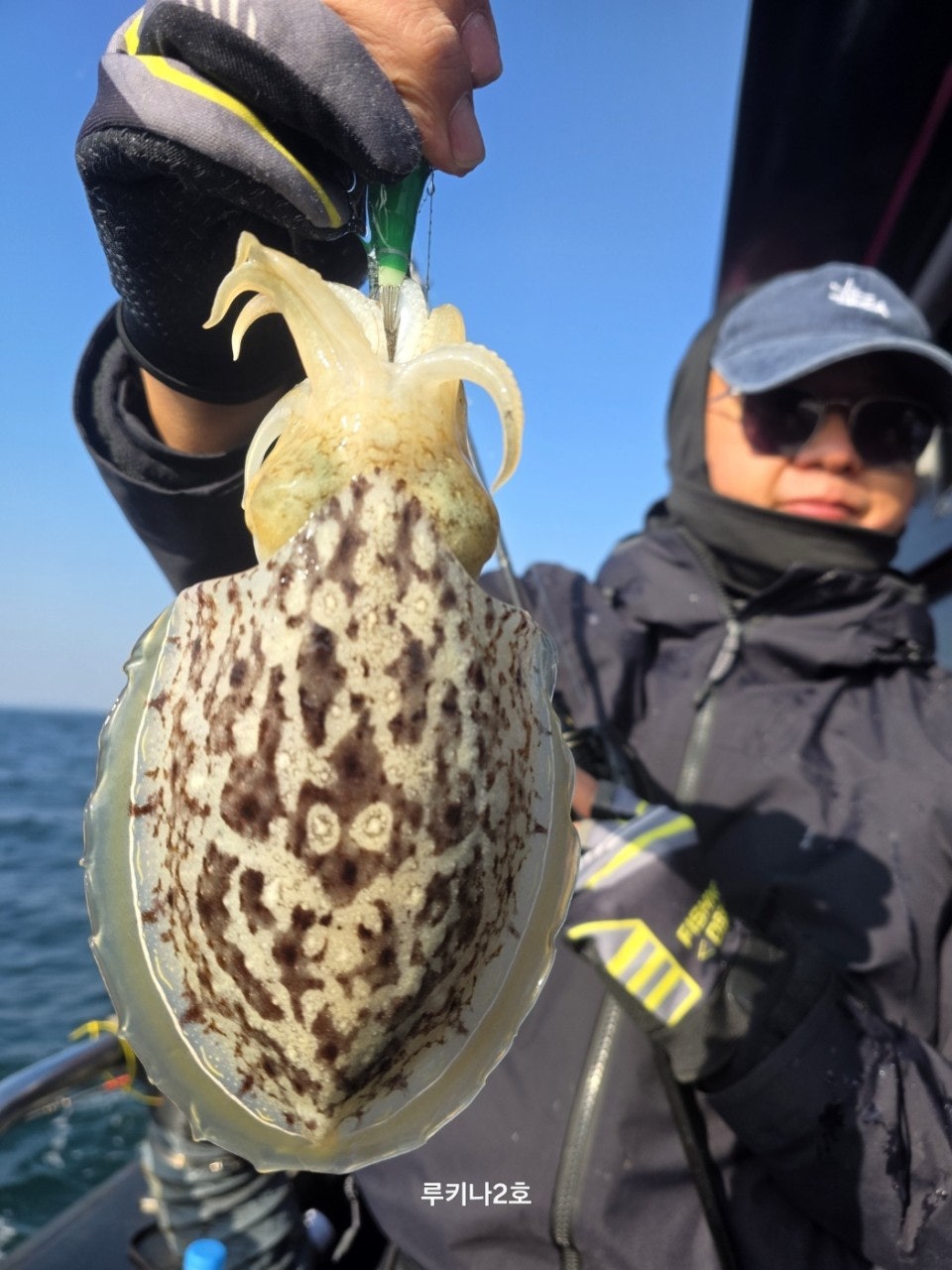 사용자가 올린 이미지