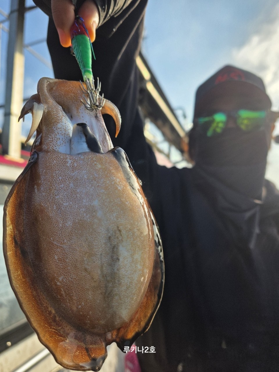 사용자가 올린 이미지