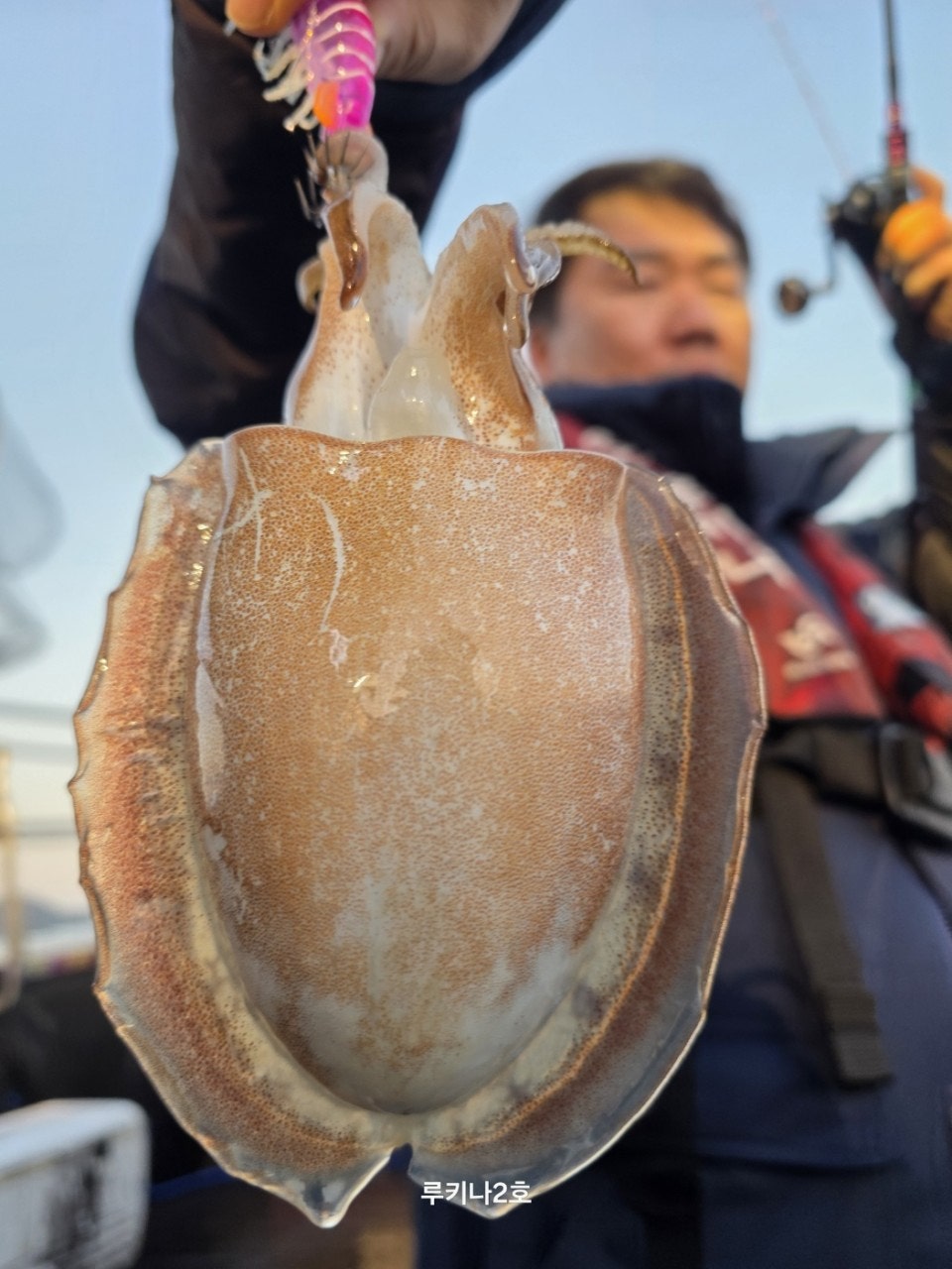 사용자가 올린 이미지