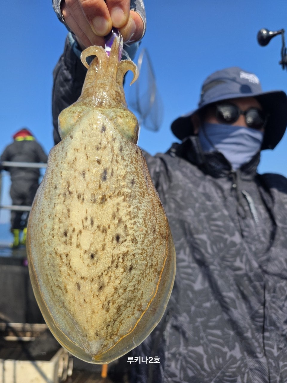 사용자가 올린 이미지