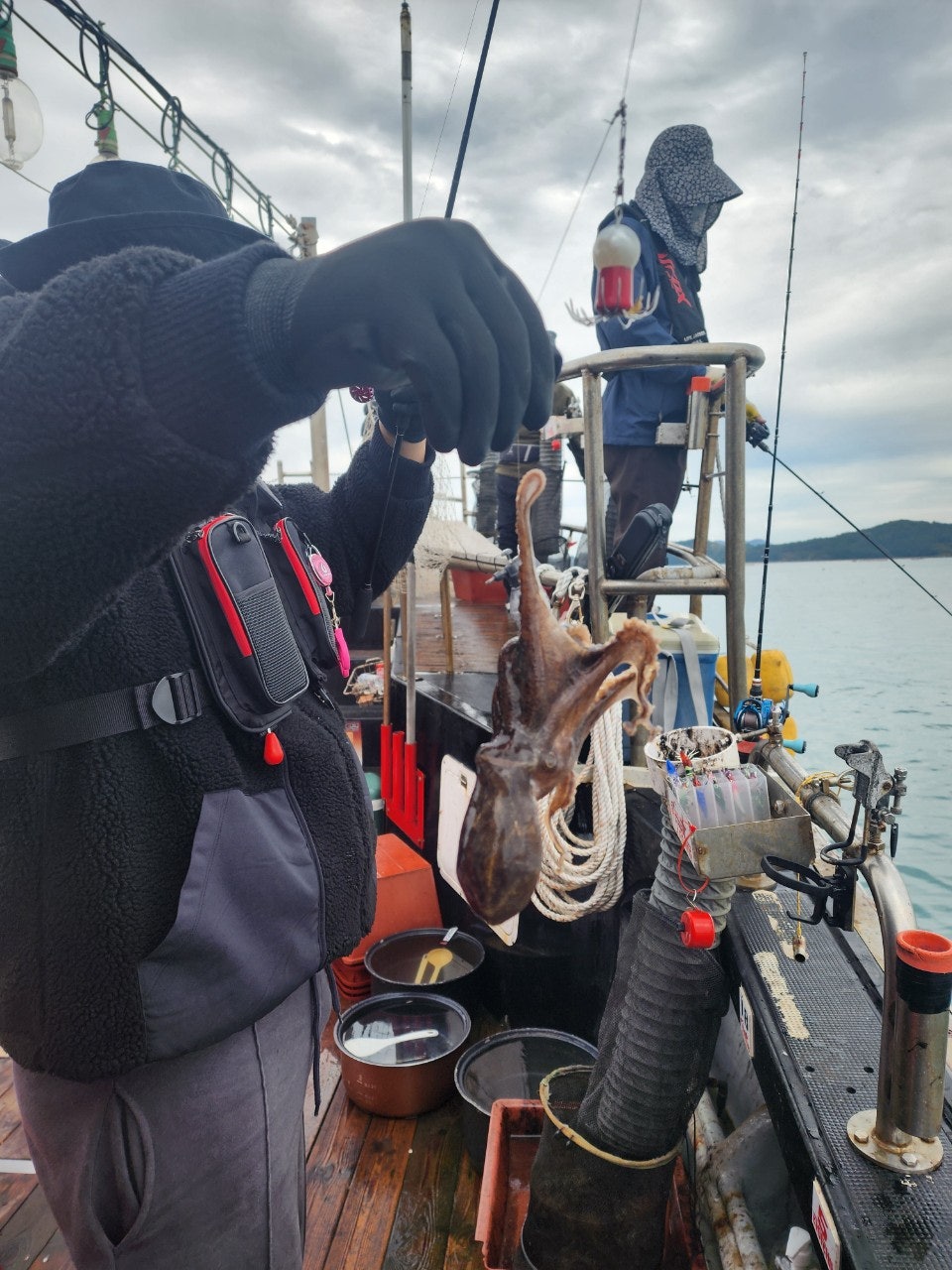 사용자가 올린 이미지