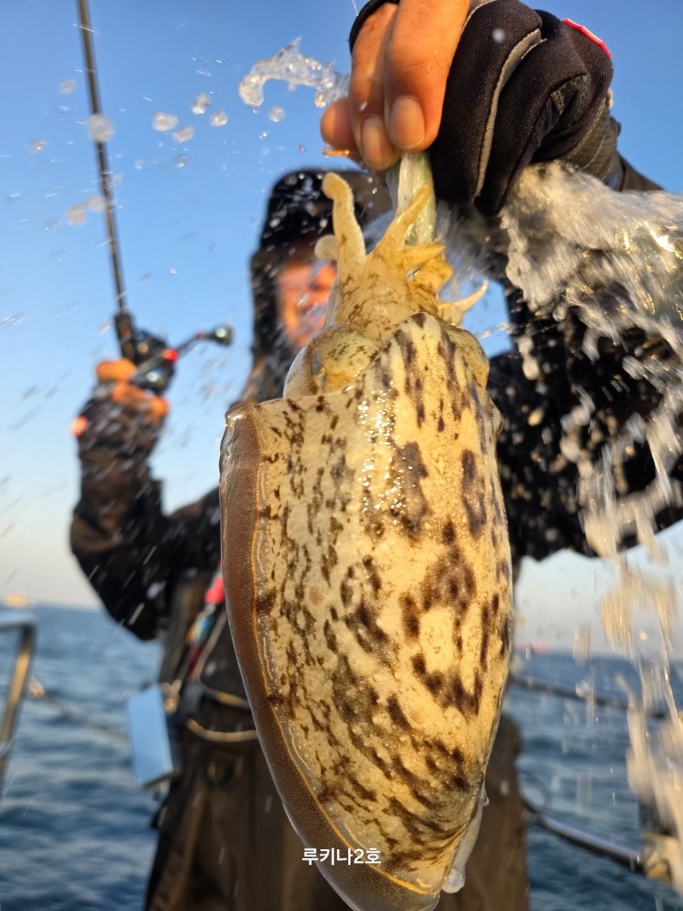 사용자가 올린 이미지