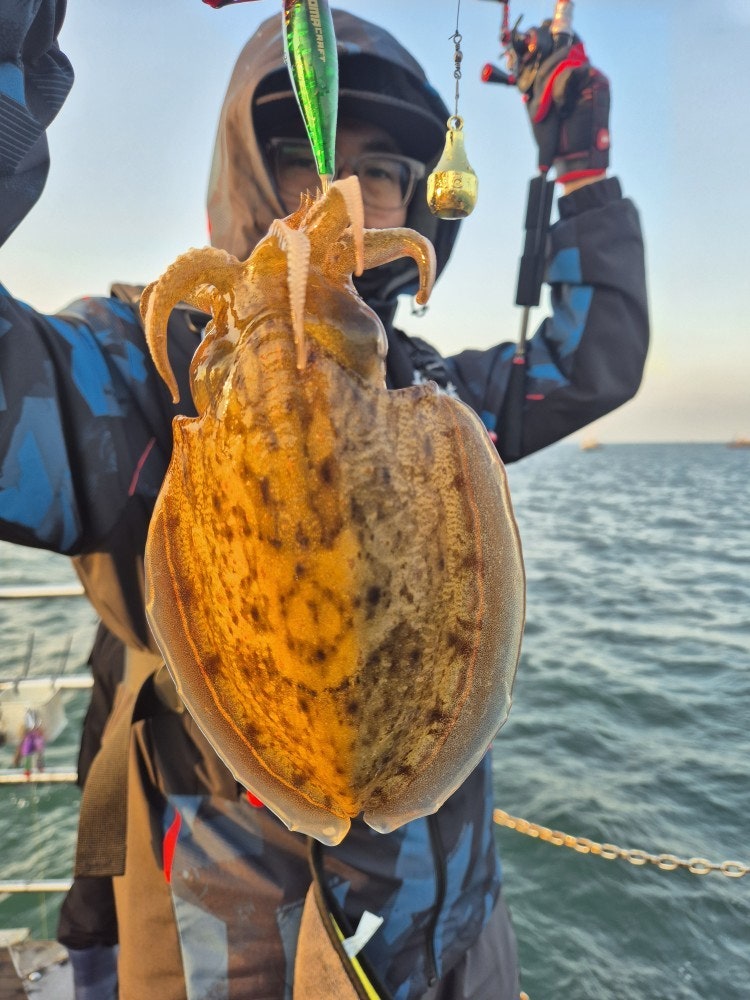 사용자가 올린 이미지