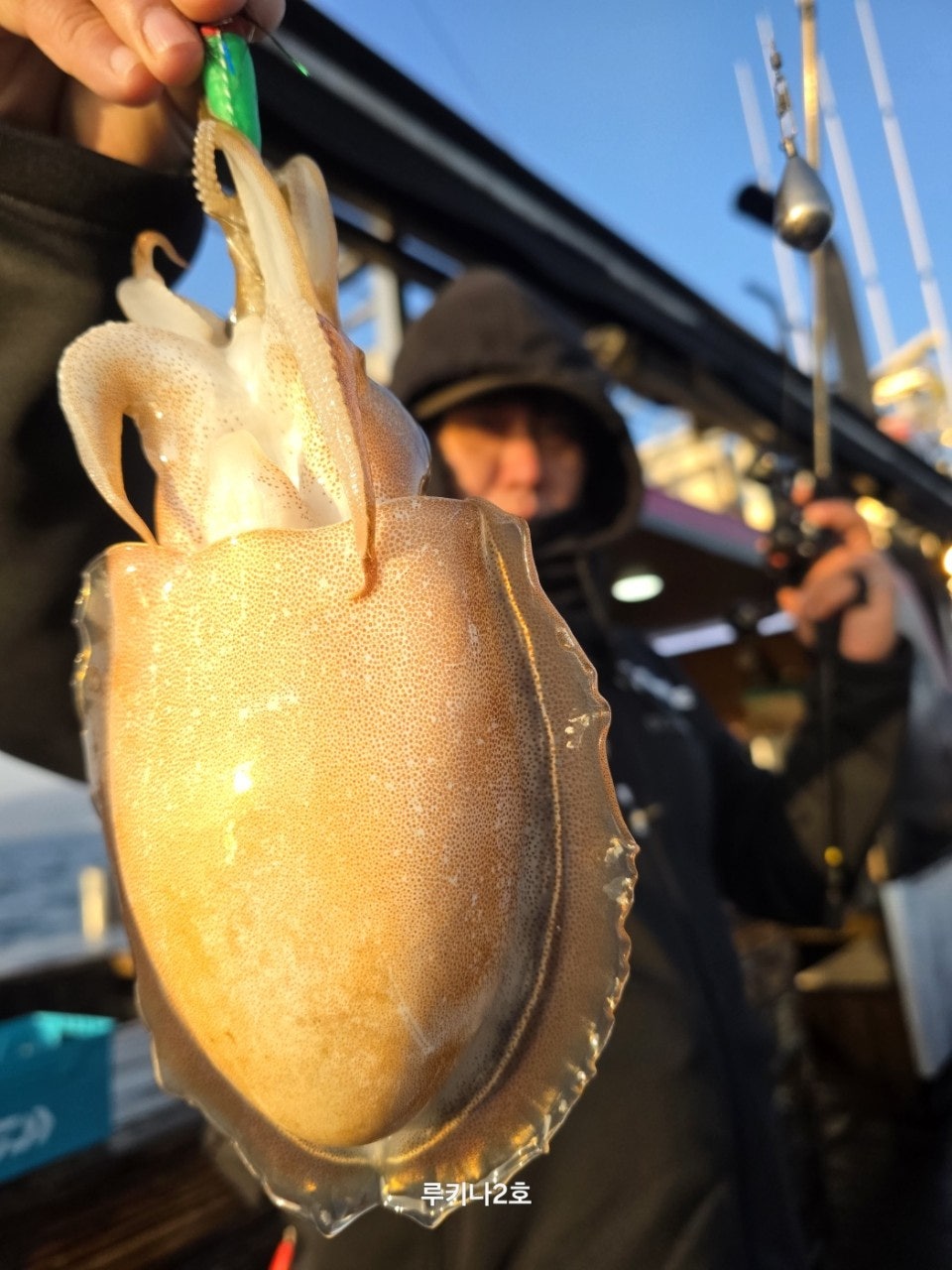 사용자가 올린 이미지