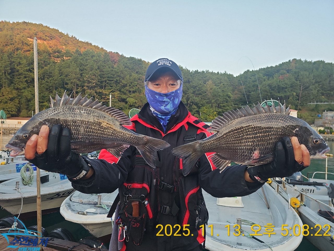 사용자가 올린 이미지