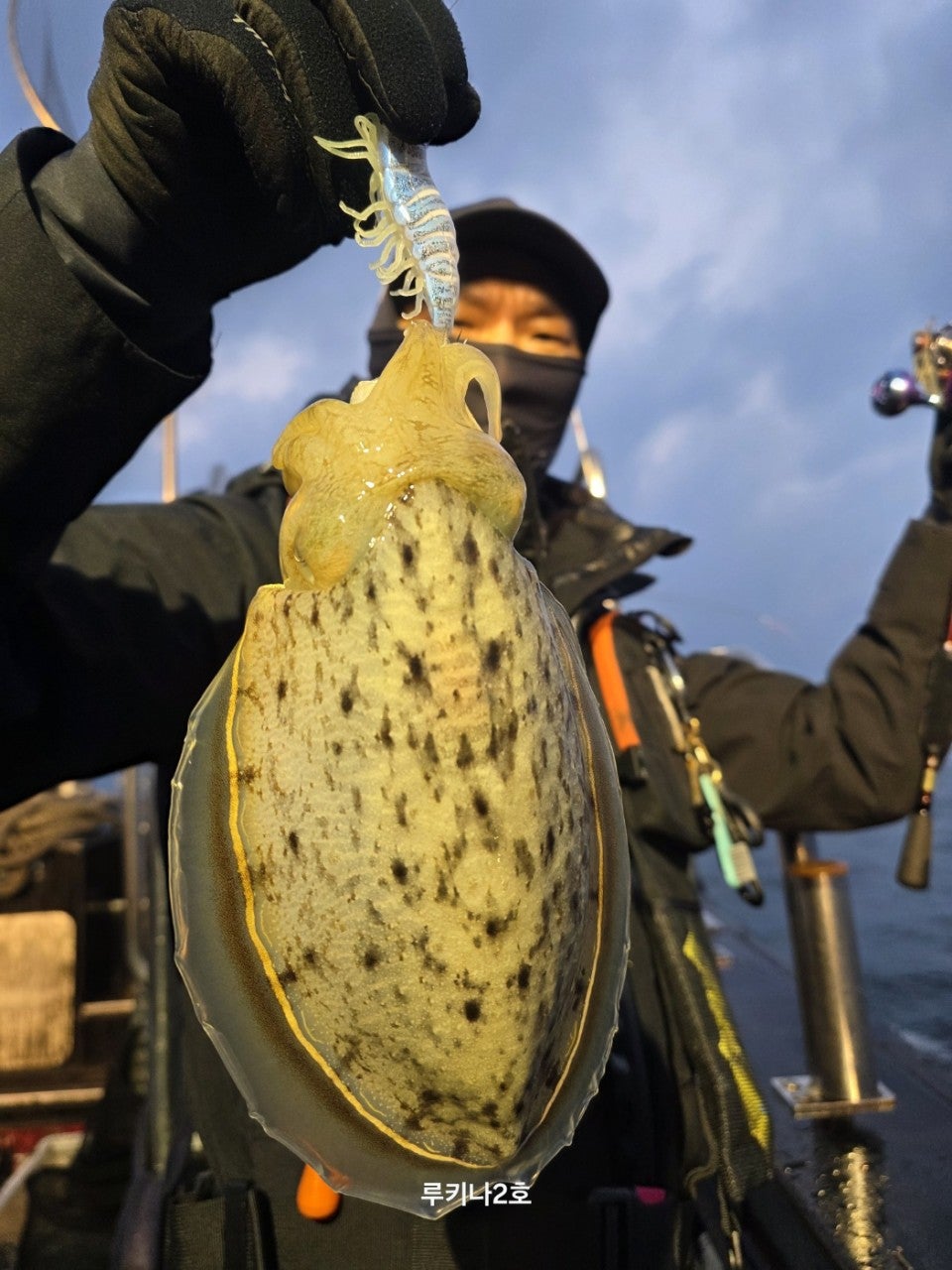 사용자가 올린 이미지