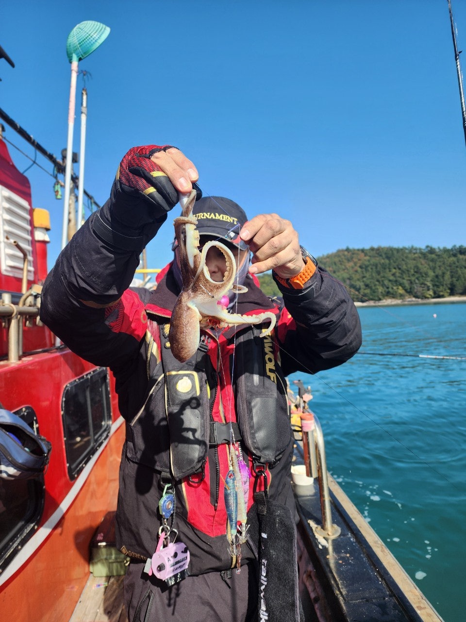 사용자가 올린 이미지