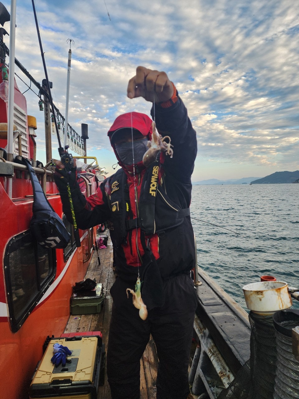 사용자가 올린 이미지