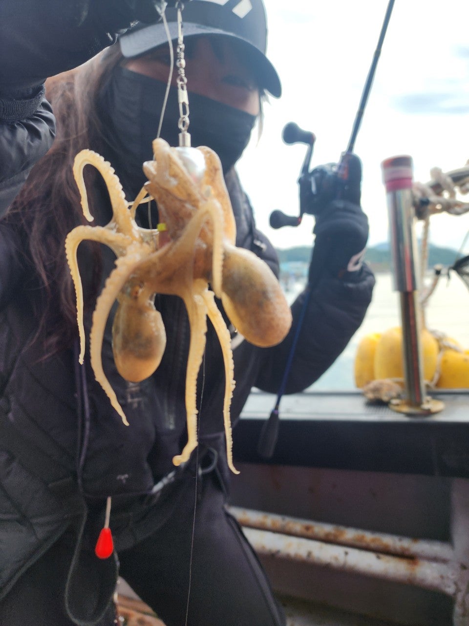 사용자가 올린 이미지