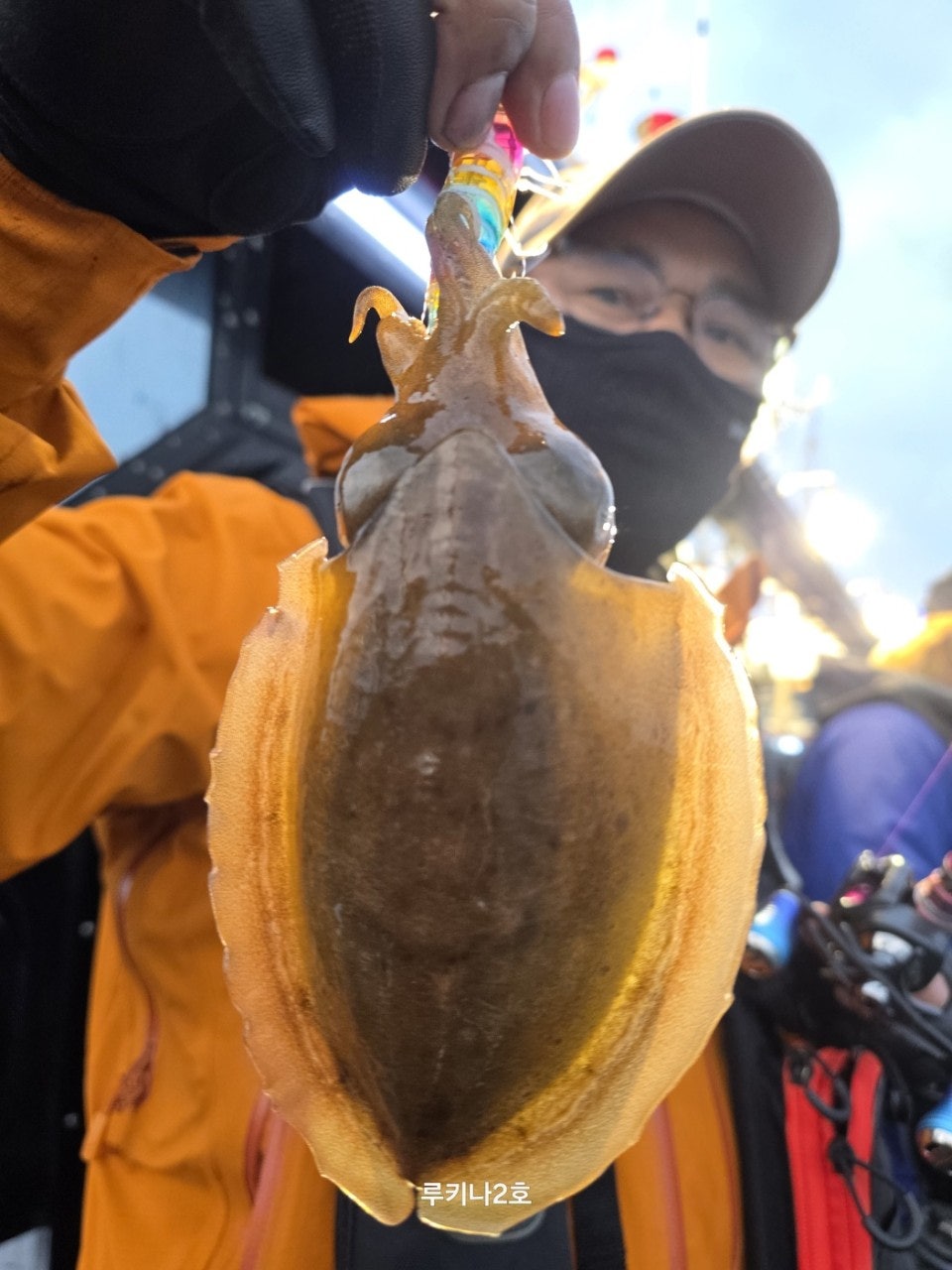 사용자가 올린 이미지